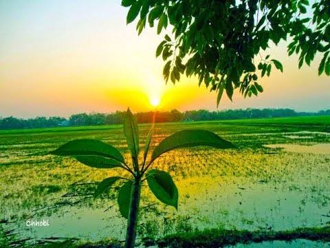 শেখ ফাহমিদা নাজনীনের কবিতা 'এই বাংলায়'