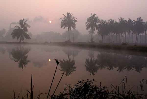 শেখ ফাহমিদা নাজনীন এর কবিতা ‘শীতের বিকেলবেলা’