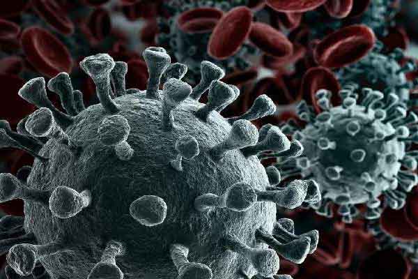 করোনায় মৃত্যু বেড়েছে, সংক্রমণ আরও সাড়ে ১২ লাখ