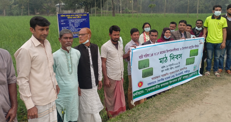 বারি সরিষা ১৪ ও ১৭ জাতের উৎপাদন-প্রযুক্তি শীর্ষক মাঠ দিবস