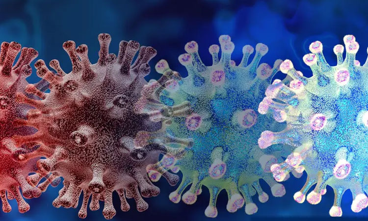 গুরুতর অসুস্থতা ও মৃত্যুর ঝুঁকি কম ওমিক্রণে : গবেষণা