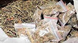 রৌমারীতে গাঁজাসহ দুই জন আটক