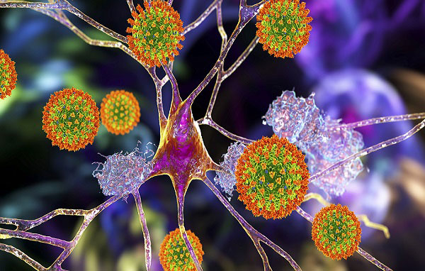 করোনা'র নতুন আতঙ্কের নাম 'নিওকভ'