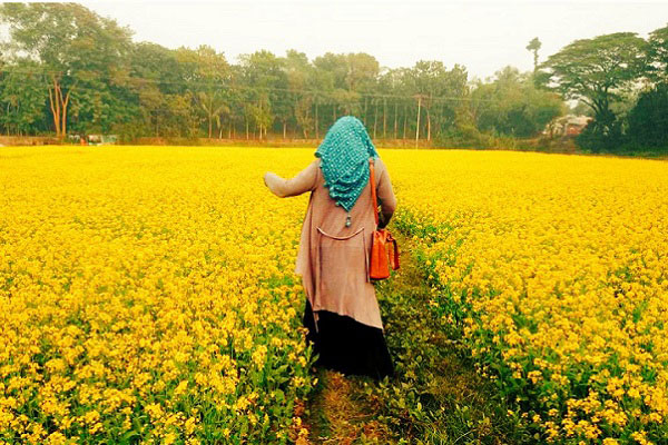 শেখ ফাহমিদা নাজনীন এর কবিতা ‘সৃষ্টিছাড়া কাণ্ড’