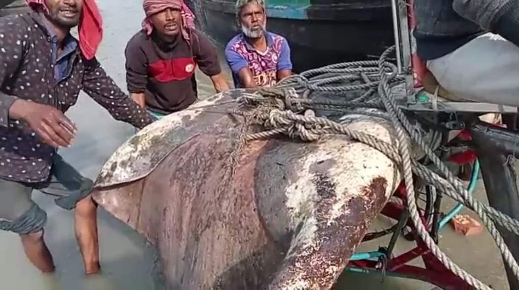 এক মাছ ৬৫ হাজার টাকায় বিক্রি!