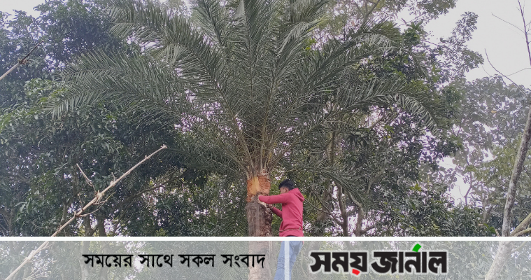 হাতীবান্ধায় নিপাহ ট্রাজেডির মাস ফেব্রুয়ারী, সচেতনতায় নেই প্রচারণা