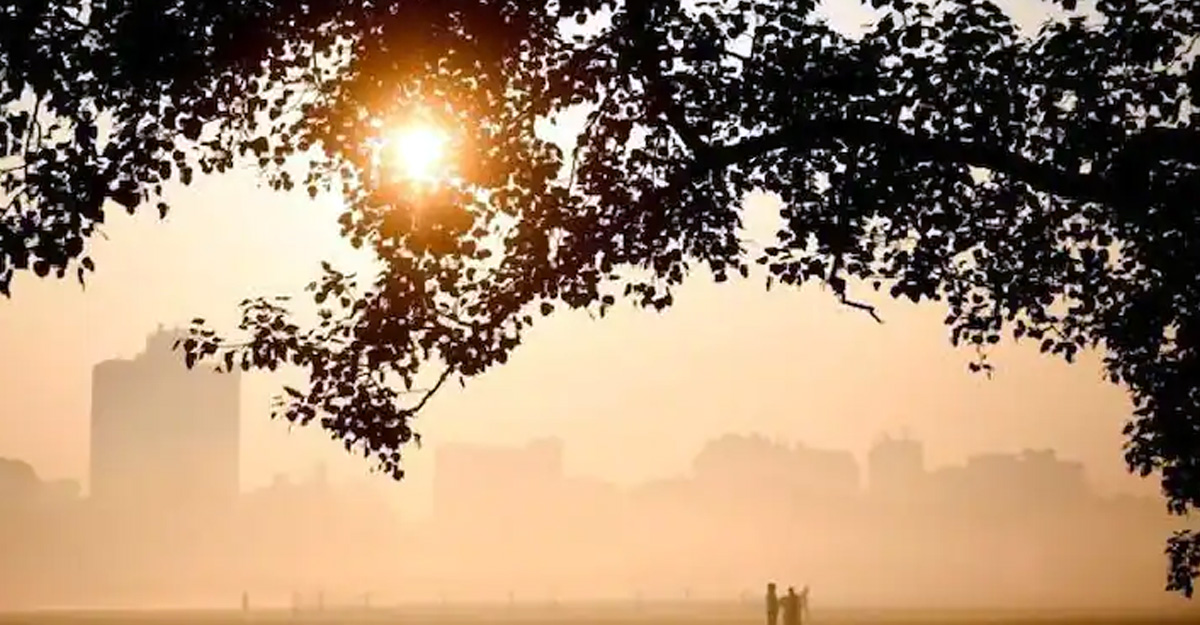 বৃষ্টি হলেও শীত বাড়ার সম্ভাবনা নেই