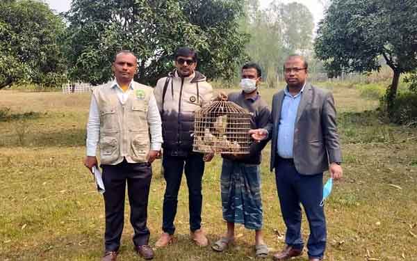 ঠাকুরগাঁওয়ে পার্ক থেকে বানর ও ঘুঘু উদ্ধার, পরে অবমুক্ত