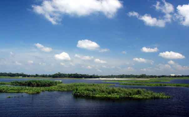 শেখ ফাহমিদা নাজনীন এর কবিতা ‘তোমার মায়ায়’