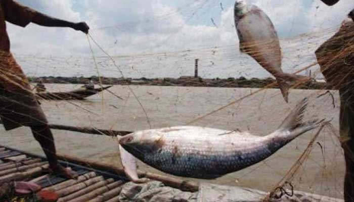 ১ মার্চ থেকে ইলিশ ধরায় ২ মাসের নিষেধাজ্ঞা