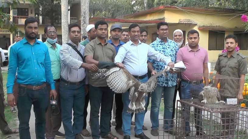 মুক্ত আকাশে উড়ল দুই ঈগল