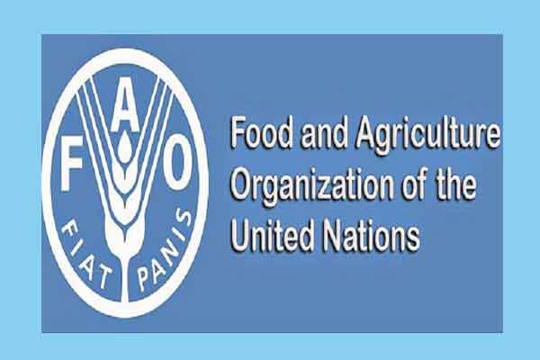 যুদ্ধের কারণে খাবারের দাম বাড়তে পারে : জাতিসংঘ