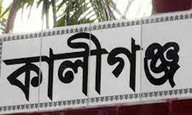 কালীগঞ্জে সাংবাদিকের মায়ের উপর সন্ত্রাসী হামলা