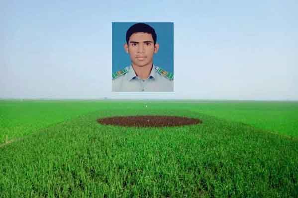 ব্রাহ্মণবাড়িয়ায় শিক্ষার্থী রাজু আহমেদ এর প্রচেষ্টায় লাল-সবুজের শস্যচিত্র