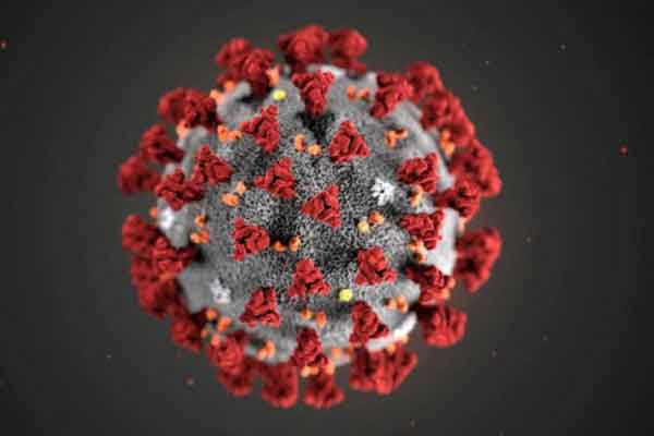 বিশ্বজুড়ে করোনায় মৃত্যু ৬১ লাখ ছাড়াল