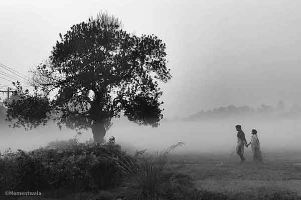 শেখ ফাহমিদা নাজনীন এর কবিতা ‘চলো তবে’