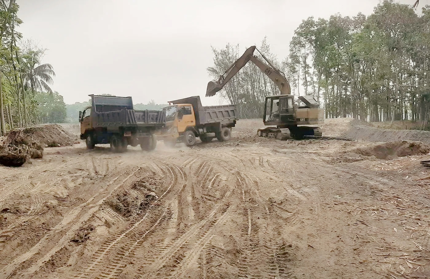 চরভদ্রাসনে চলছে অবৈধভাবে মাটি বিক্রির মহোৎসব
