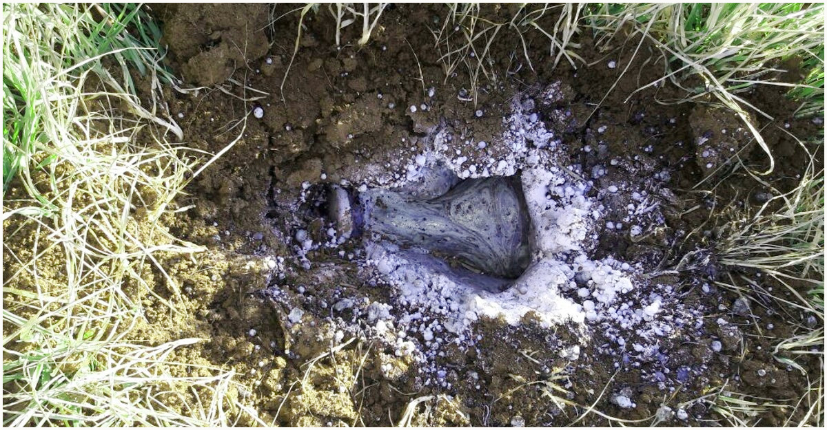 ফসফরাস বোমা হামলা চালিয়েছে রাশিয়া: ন্যাটোকে জেলেনস্কি