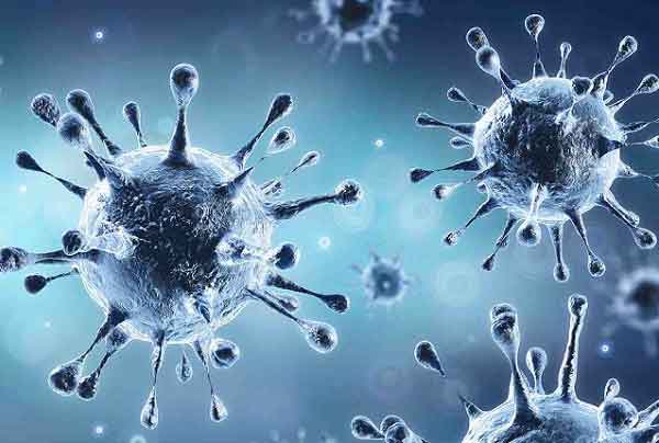 বিশ্বে করোনায় আরও ৪ হাজার মৃত্যু, শনাক্ত সাড়ে ১৪ লাখ