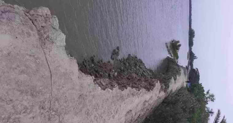 প্রতাপনগরে কপোতাক্ষ নদের বেড়িবাঁধে ভয়াবহ ভাঙন, আতঙ্কে এলাকাবাসী