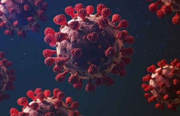 করোনায় আজও মৃত্যু নেই, শনাক্ত ৪৪