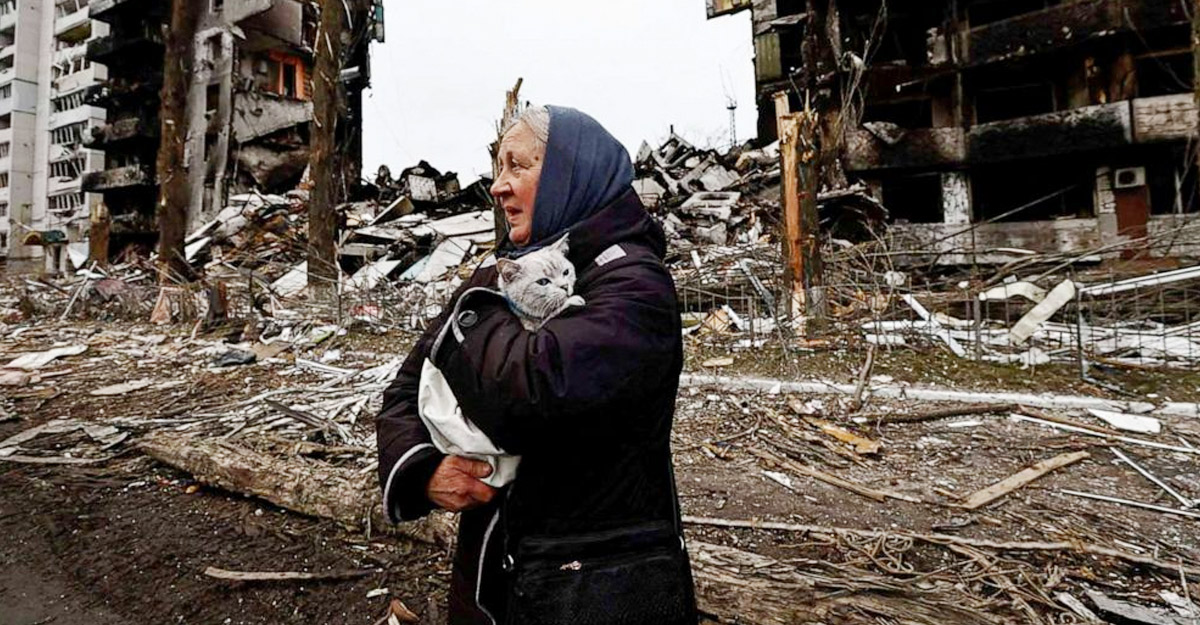 বোরোদ্যাঙ্কার পরিস্থিতি বুচার চেয়েও ‘ভয়ঙ্কর’ : জেলেনস্কি