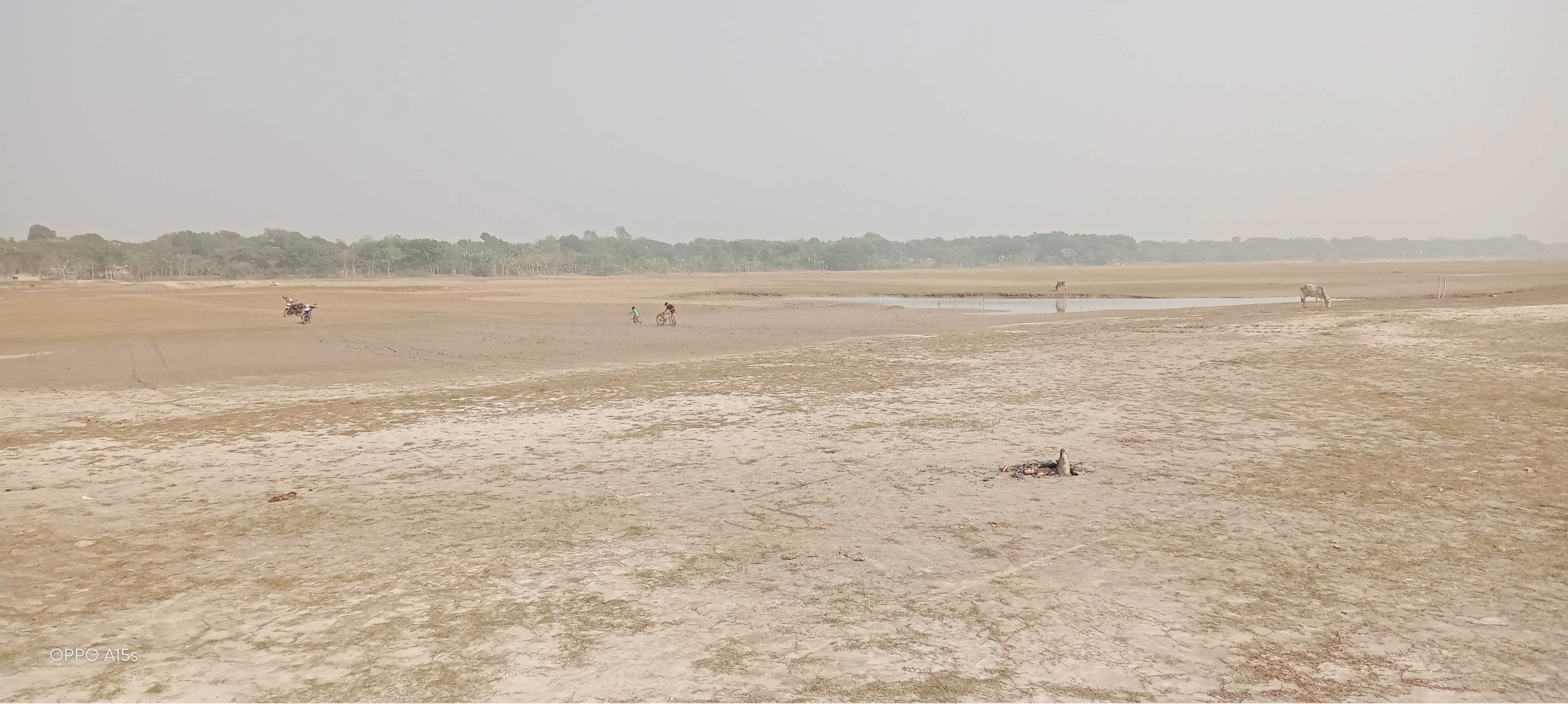 ফরিদপুরে নাব্যতার অভাবে পড়েছে চর :  নদীর বুকে চাষাবাদ
