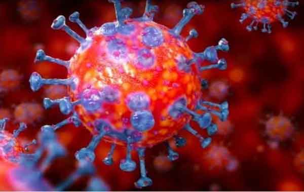 বিশ্বজুড়ে করোনা : নতুন মৃত্যু দেড় হাজার, শনাক্ত সাড়ে ৫ লাখ