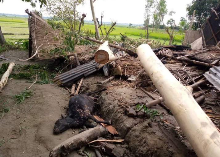 রাজীবপুরে কালবৈশাখী ঝড়ে ঘরবাড়ি বিধ্বস্ত, মৃত্যু ১