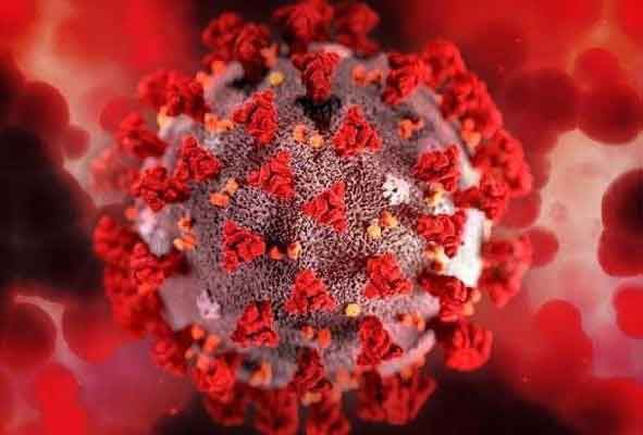 টানা ১৫ দিন করোনায় মৃত্যুহীন দেশ, শনাক্ত ৪