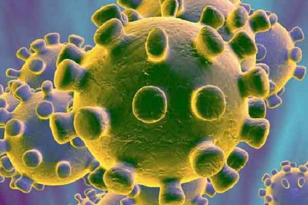 করোনায় টানা ২২ দিন মৃত্যুহীন দেশ, শনাক্ত ৫১