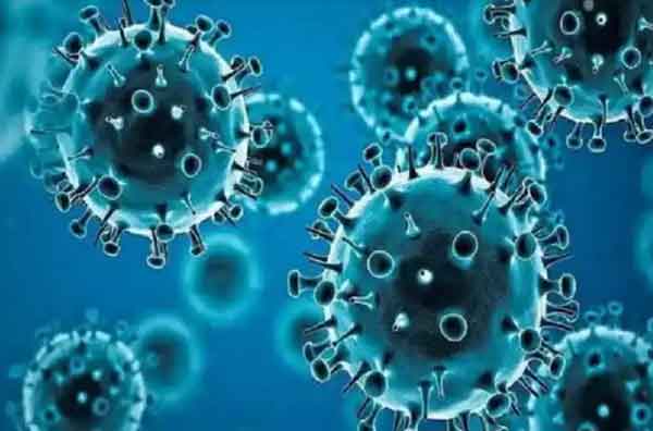 আরও ২২ জনের করোনা শনাক্ত