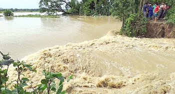 সিলেটে বরাক মোহনায় ডাইক ভেঙ্গে প্রবল বেগে পানি ঢুকছে