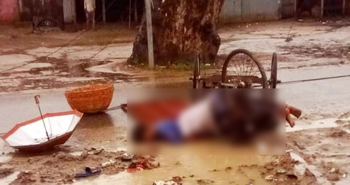 চলন্ত ভ্যানে ছিড়ে পড়লো বিদ্যুতের তার, চালকসহ দুই জনের মর্মান্তিক মৃত্যু