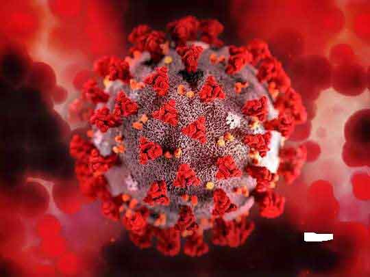 টানা ৩০ দিন পর করোনায় একজনের মৃত্যু