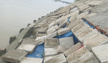 গজারিয়ায় আশ্রয়ন প্রকল্পের গাইডওয়ালে ভাঙ্গন, আতঙ্কে ৩০ টি  পরিবার