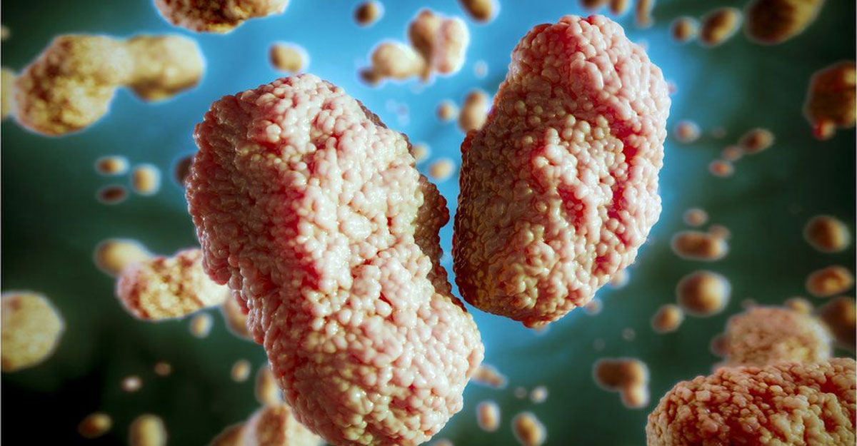 মাঙ্কিপক্স ভাইরাসের প্রাদুর্ভাব নিয়ন্ত্রণযোগ্য : ডব্লিউএইচও