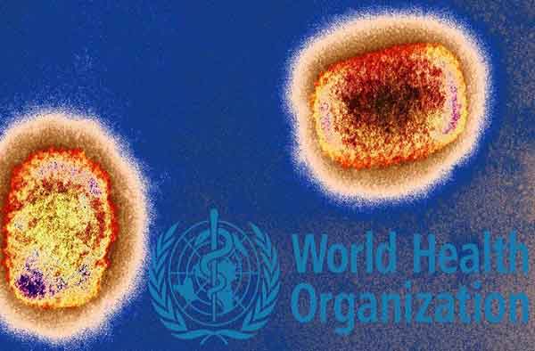 ‘দ্রুত ব্যবস্থা নিলে মাঙ্কিপক্স নিয়ন্ত্রণ সম্ভব’