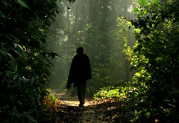 'উৎসব' কবীর আলমগীর