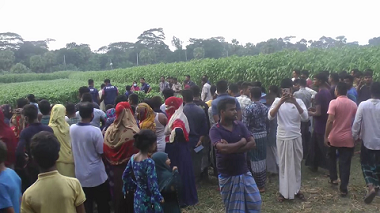 ফরিদপুরের ভাঙ্গায় পাট ক্ষেত থেকে এনজিও কর্মীর লাশ উদ্ধার