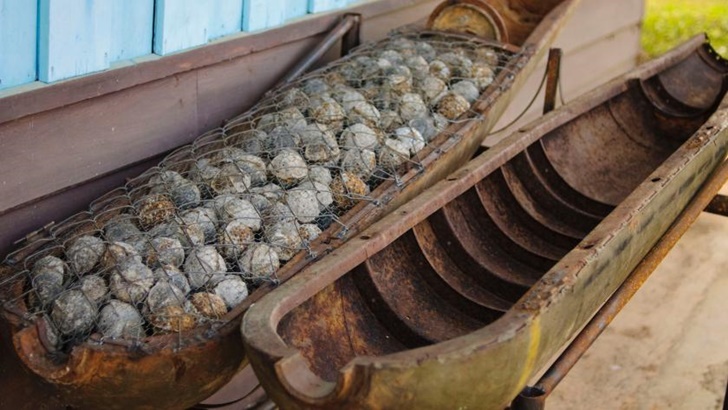 রাশিয়া ইউক্রেনে গুচ্ছ বোমা ব্যবহার করছে