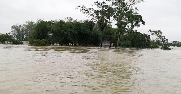 সিলেটে অভুক্ত মানুষ: দিনে একবেলাও খাবার জুটছে না