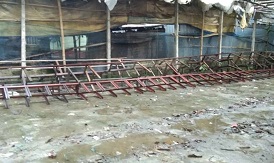 ফরিদপুরের চরে নিষিদ্ধ মাছ ধরার চায়না দোয়ারী ও জাল ব্যবহার