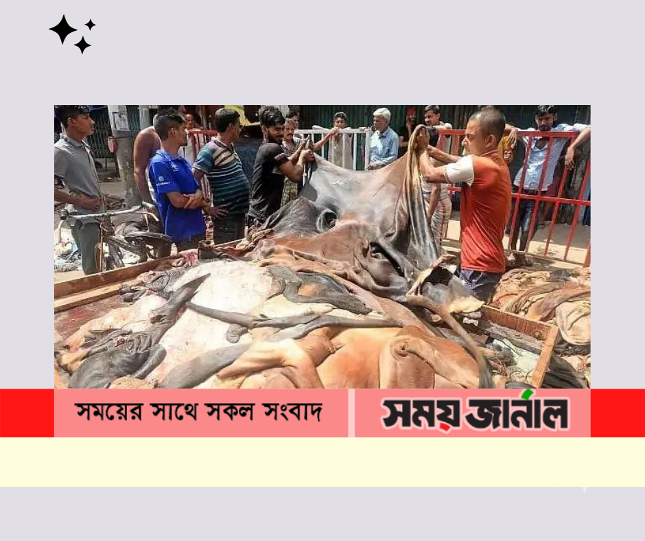 এবার প্রতিটি বর্গফুট গরুর চামড়া ৪৭–৫৫ টাকা