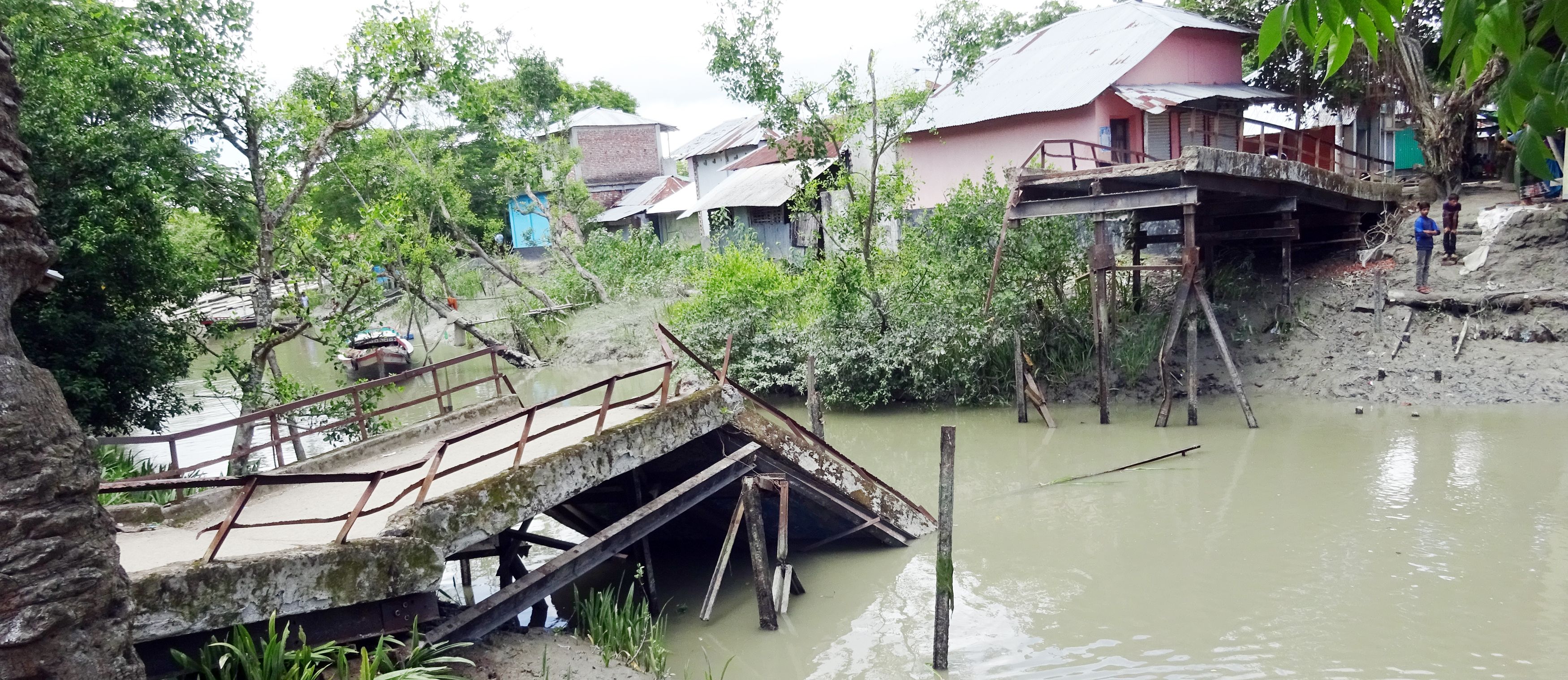 মোড়েলগঞ্জে সংস্কার চলাকালীন ভেঙে পড়ল ব্রিজ, দুর্ভোগ ৩ ইউনিয়নের মানুষ