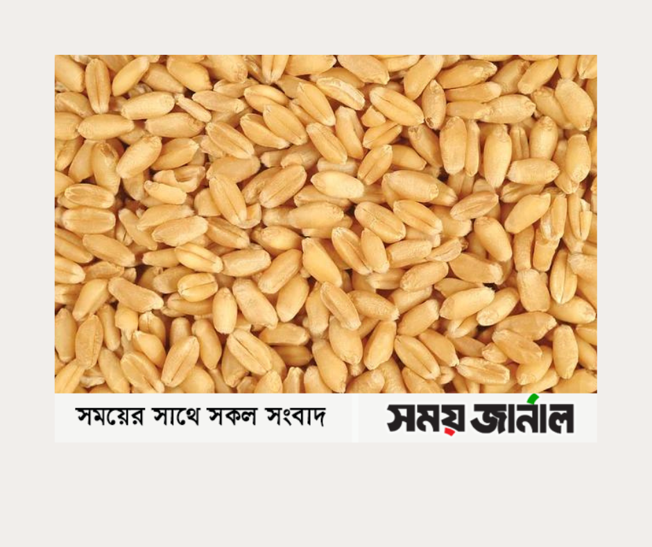 গমের দাম কমেছে বিশ্ববাজারে ৬ শতাংশ, দেশে ২শতাংশ