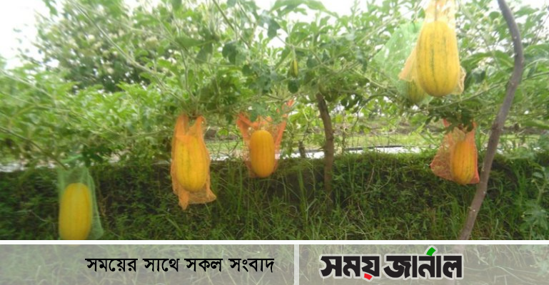 পঞ্চকরণের কৃষক জাকির শেখের মুখে হাসির ঝিলিক