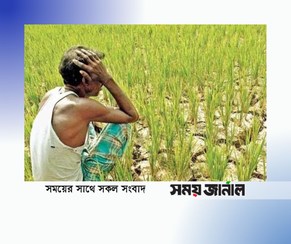 এবার কৃষকের খরচও বাড়ল