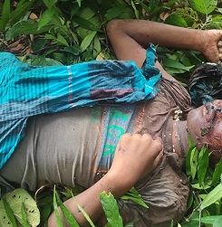 দিনাজপুরের বিরামপুরে লিচু বাগান থেকে যুবকের লাশ উদ্ধার