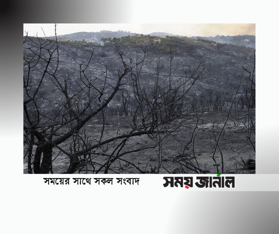 আলজেরিয়ার উত্তরাঞ্চলে ভয়াবহ দাবানল, নিহত হয়েছে অন্তত ২৬